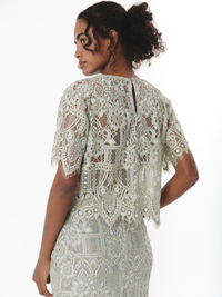 FLORENCE TOP SEAGRASS (VIP)