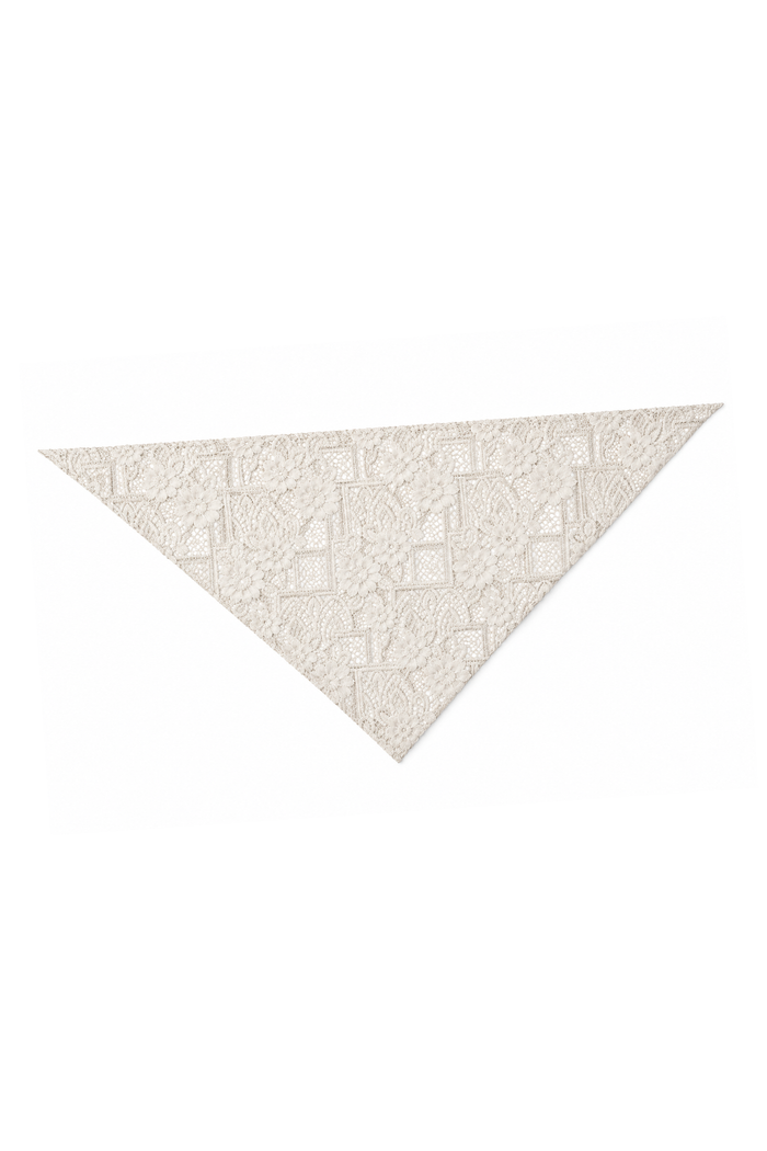LACE SCARF CHAMPAGNE